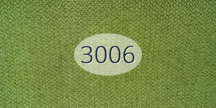 3006.jpg